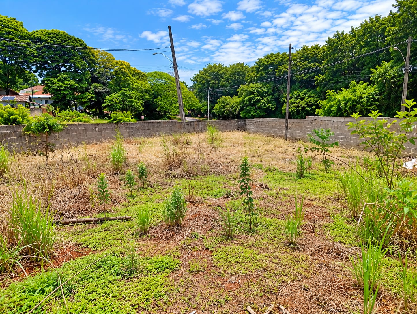 **Terreno à Venda em Maringá – 360 m² por R$ 290 Mil | Excelente Oportunidade para Construir ou Investir**
